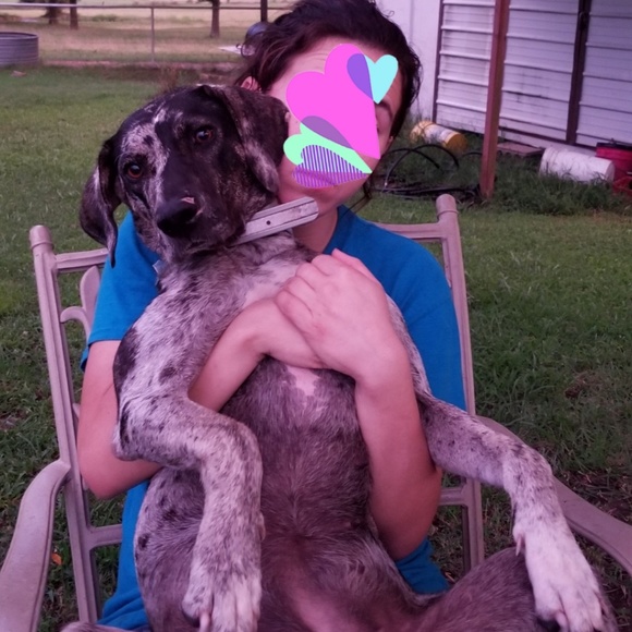 🔥🔥🔥 🐾🐾DISCLOSURE  - I ADMIT IT!!! 🐾🐾🔥🔥🔥 - Picture 7 of 7